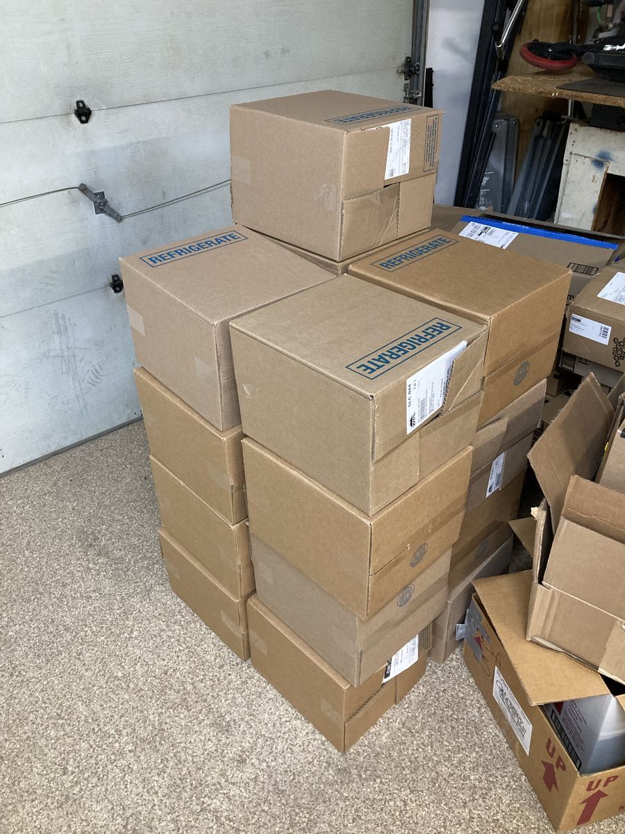 Huge Lot: Assorted Cardboard Boxes