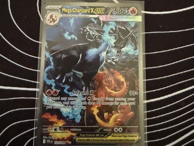 Mega Charizard x Ex Pokemon Fs/Ft