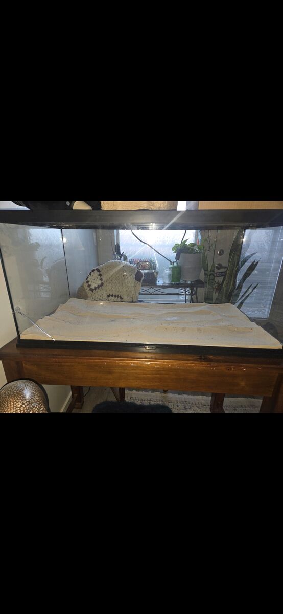 LARGE ZOO MED BEARDED DRAGON ENCLOSURE 40 GALLON