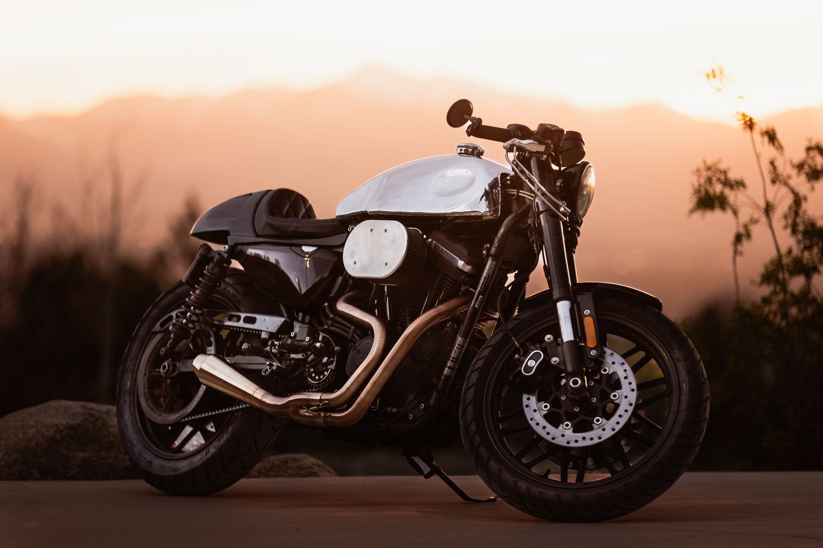 2016 Harley Davidson Sportster Roadster Cafe Racer