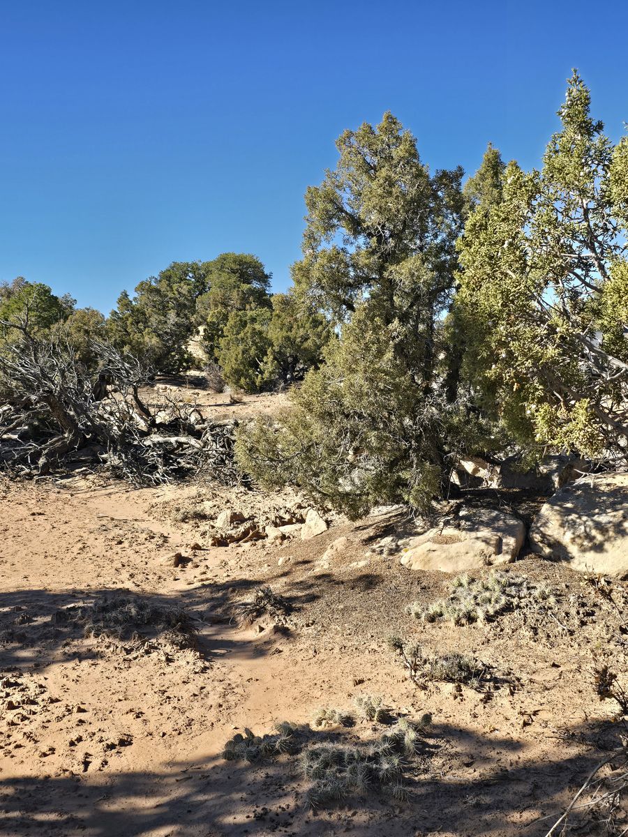 BMESAS 11-A - 5 Acres - $99,900