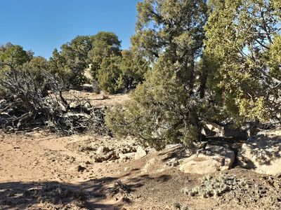 BMESAS 11-A - 5 Acres - $99,900