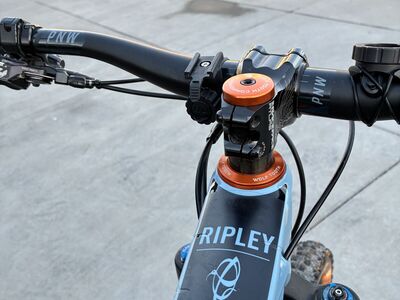 2022 Ibis Ripley Large