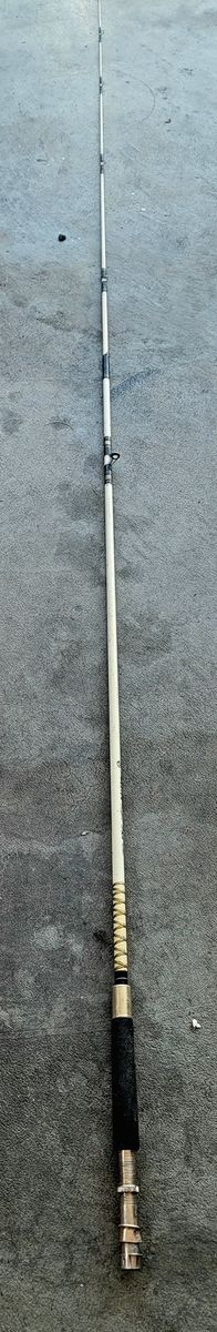 Fly Rod