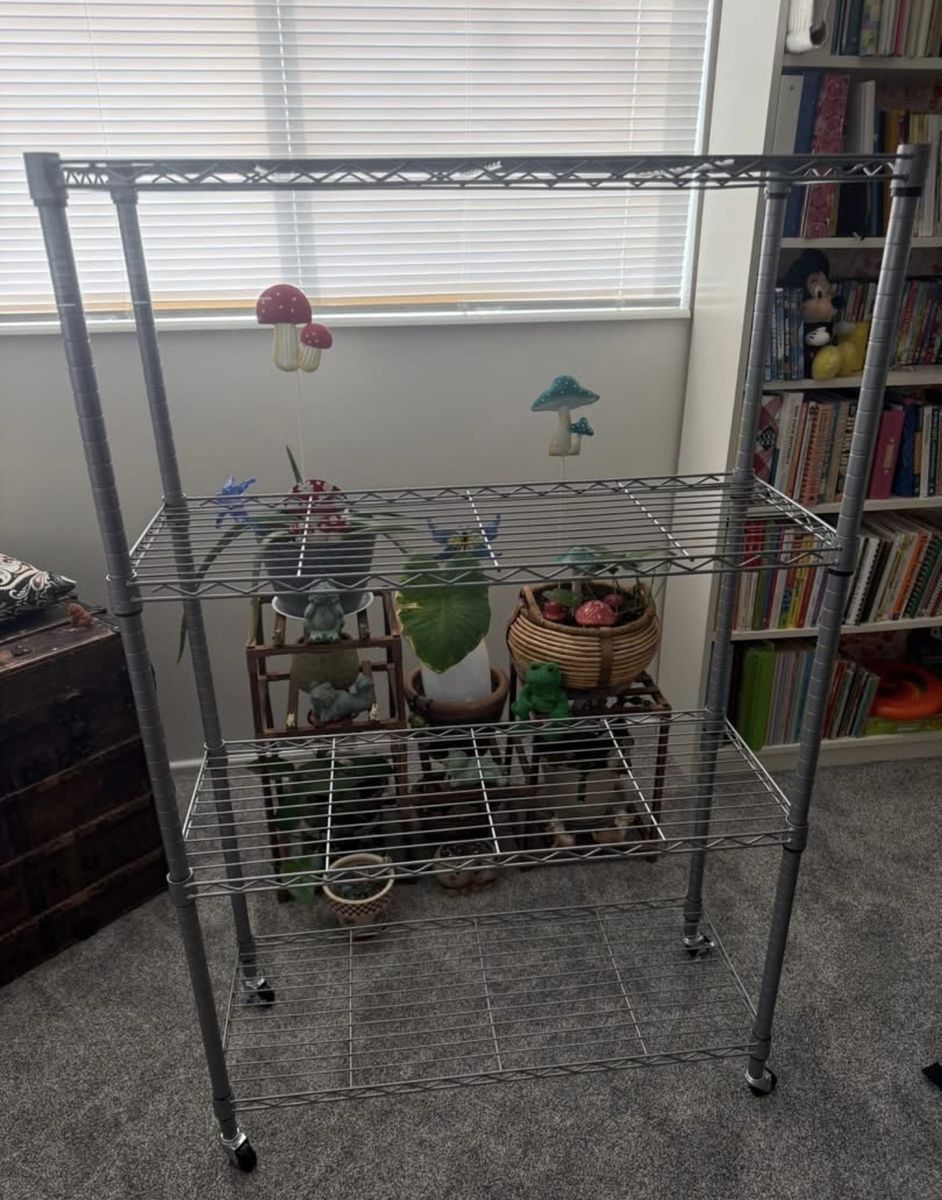 Wire  shelving on wheels