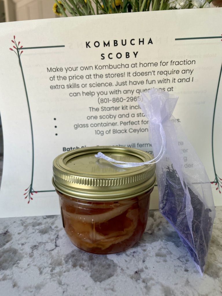 Kombucha-Scoby/ Mother Culture Starter Kit