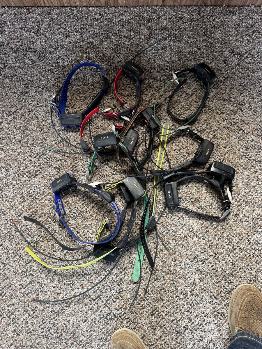 Garmin TT 15 Collars
