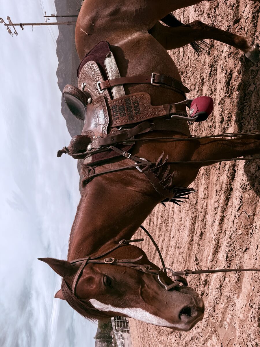 Chex on fire aka sparky