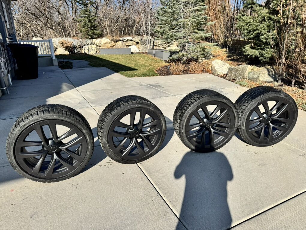 Tesla Brand New Arachnid Wheels And Winter Tires