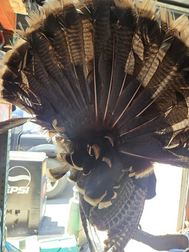 Main image 4
