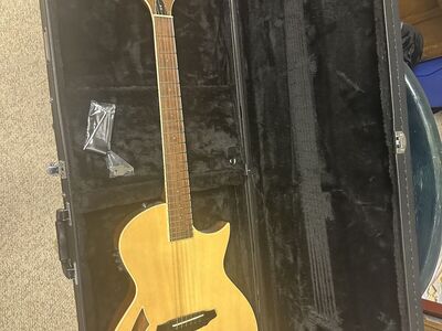 LTD elec guitar