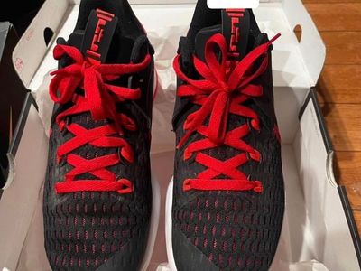 Nike LeBron witness 5