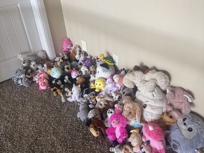 Assorted Stuffed Animal Plush Toy Lot - Various Brands & Sizes
