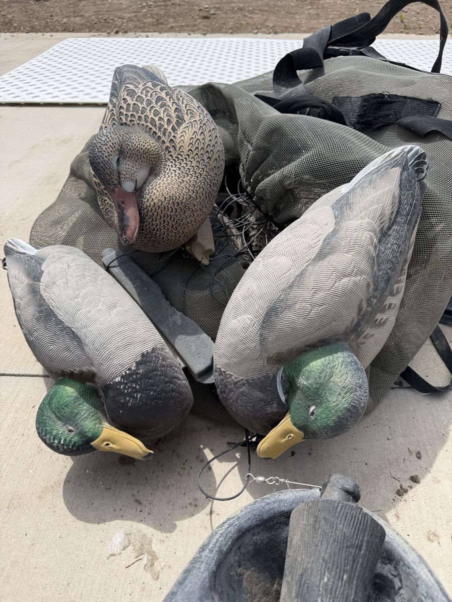 Waterfowl Decoy Lot – 6 GHG Mallards, 5 Canada Geese, Weights & Bag