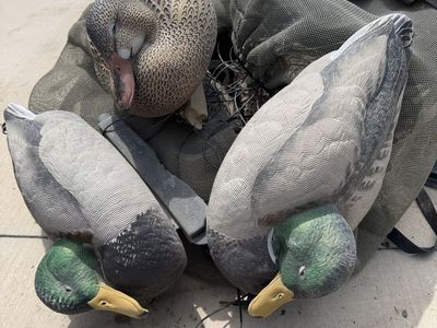 Waterfowl Decoy Lot – 6 GHG Mallards, 5 Canada Geese, Weights & Bag