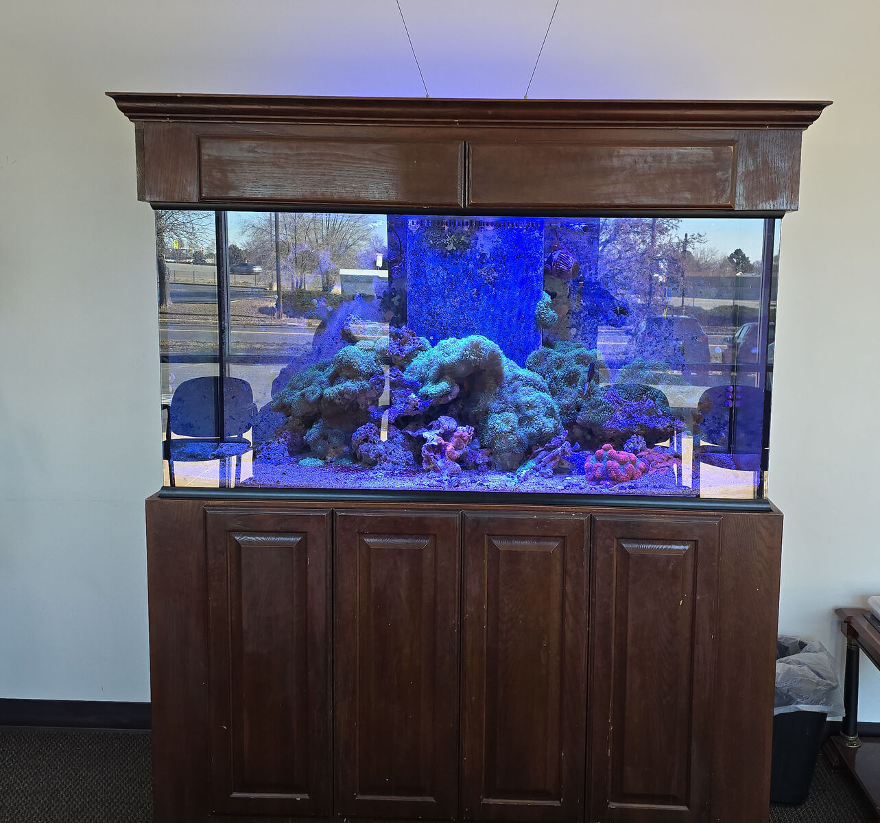 FOR SALE: 5 Large Fish Tanks + Stands + Fish (Make Offer)
