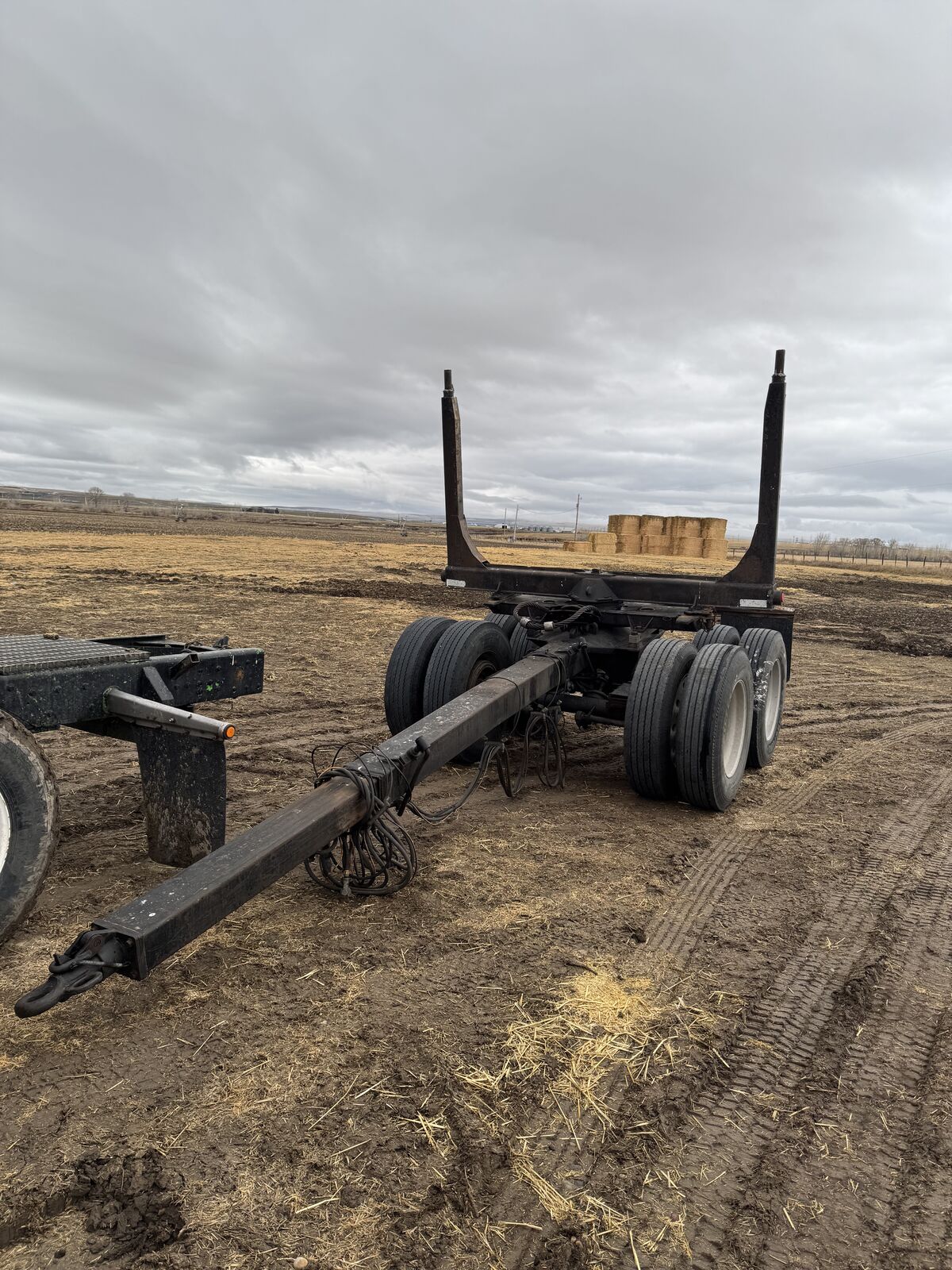 1989 Whit-log  Log Setup