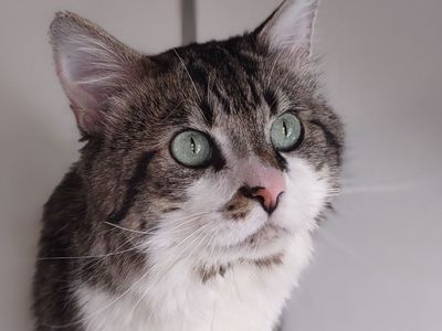 Hello my name is Rupert
