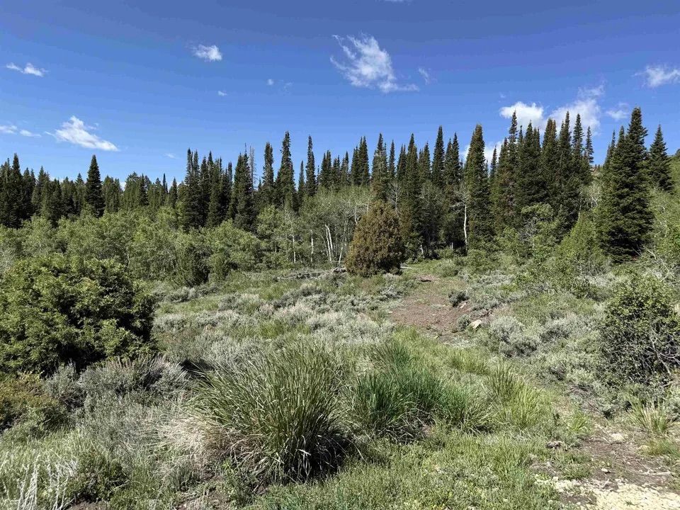 Main image 25