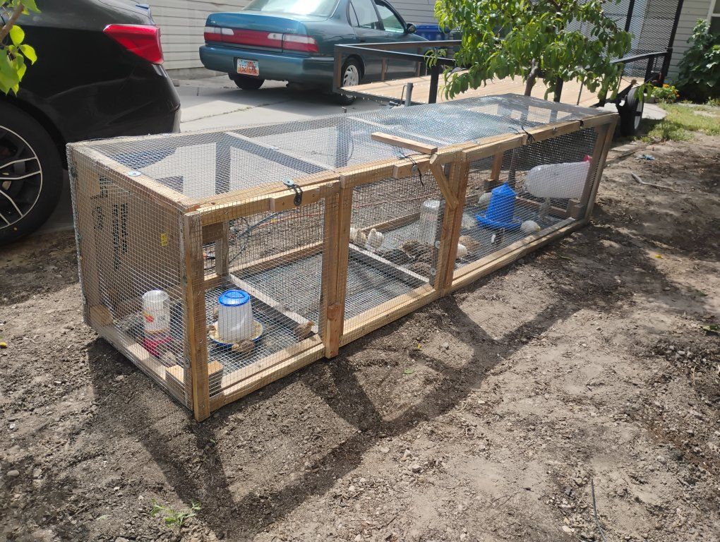 Quail or Rabbit Hutch