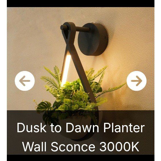 Outdoor Wall Sconce with Planter(NEW)