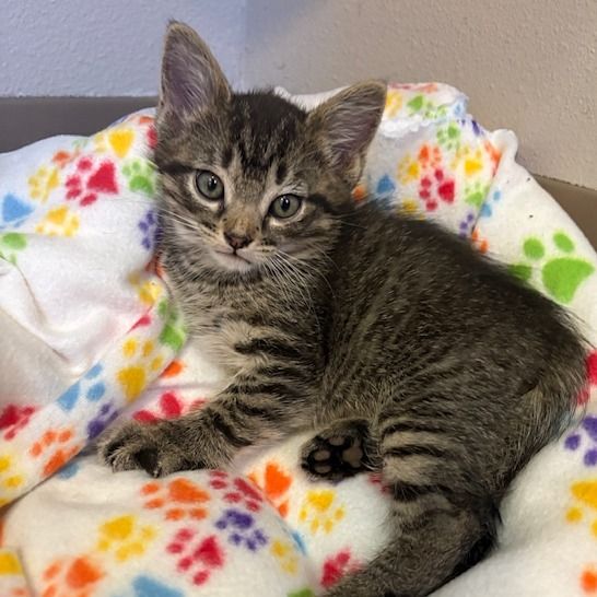 Hello my name is Remington