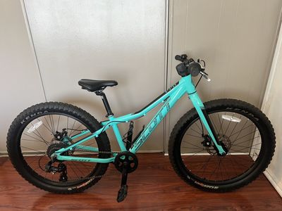 Scott Roxter 24 Mountain Bike
