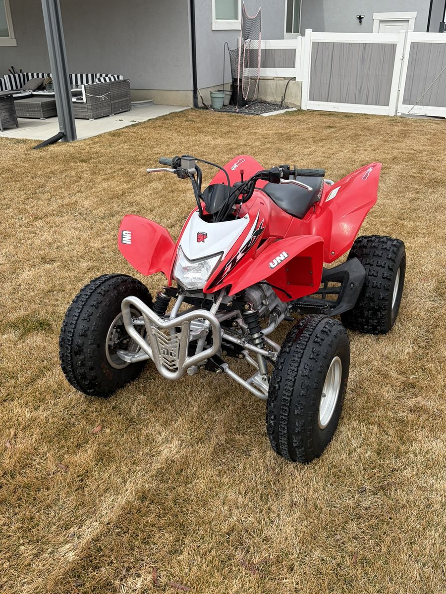 2014 Honda TRX 250X