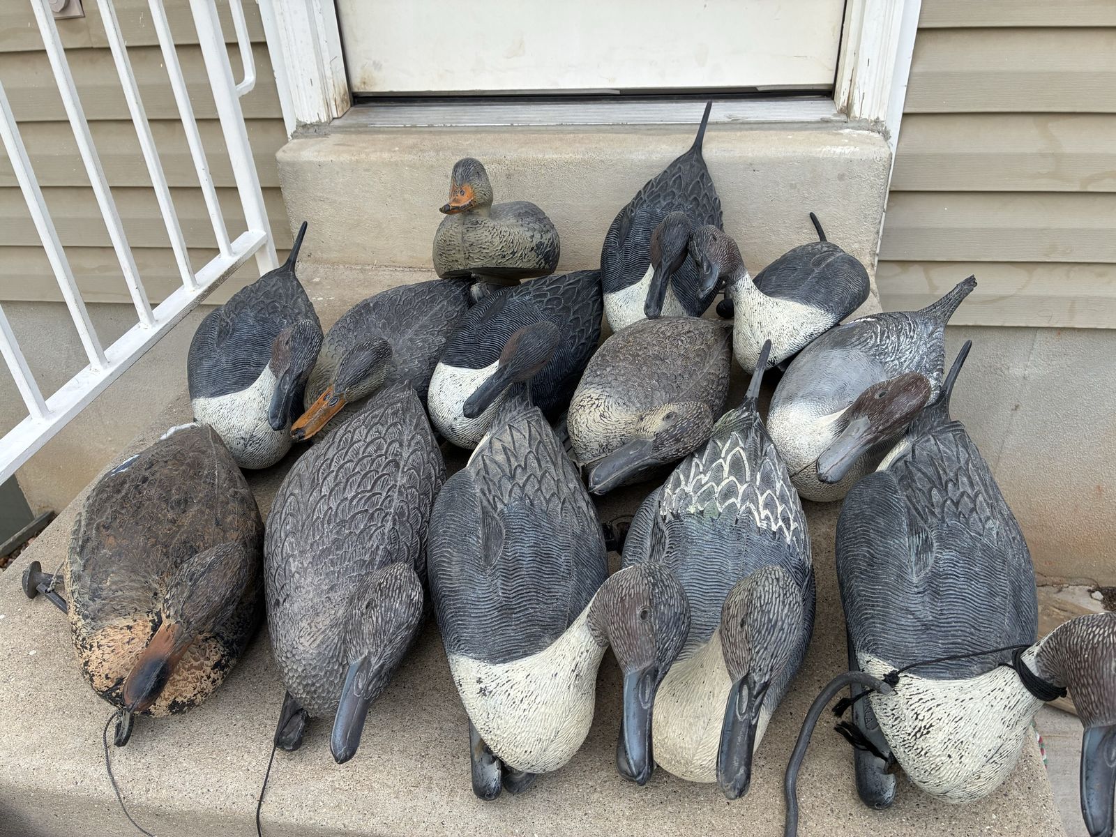Duck Decoys