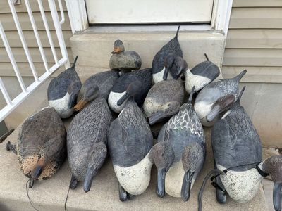 Duck Decoys
