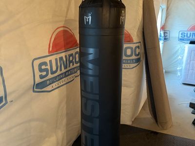 Meister 100lb bag with wall mount
