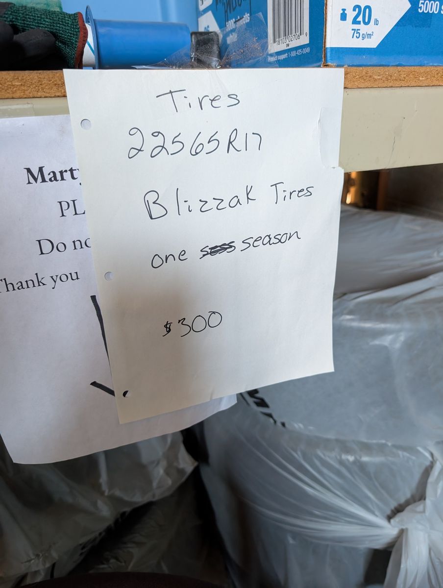 Blizzak TIres