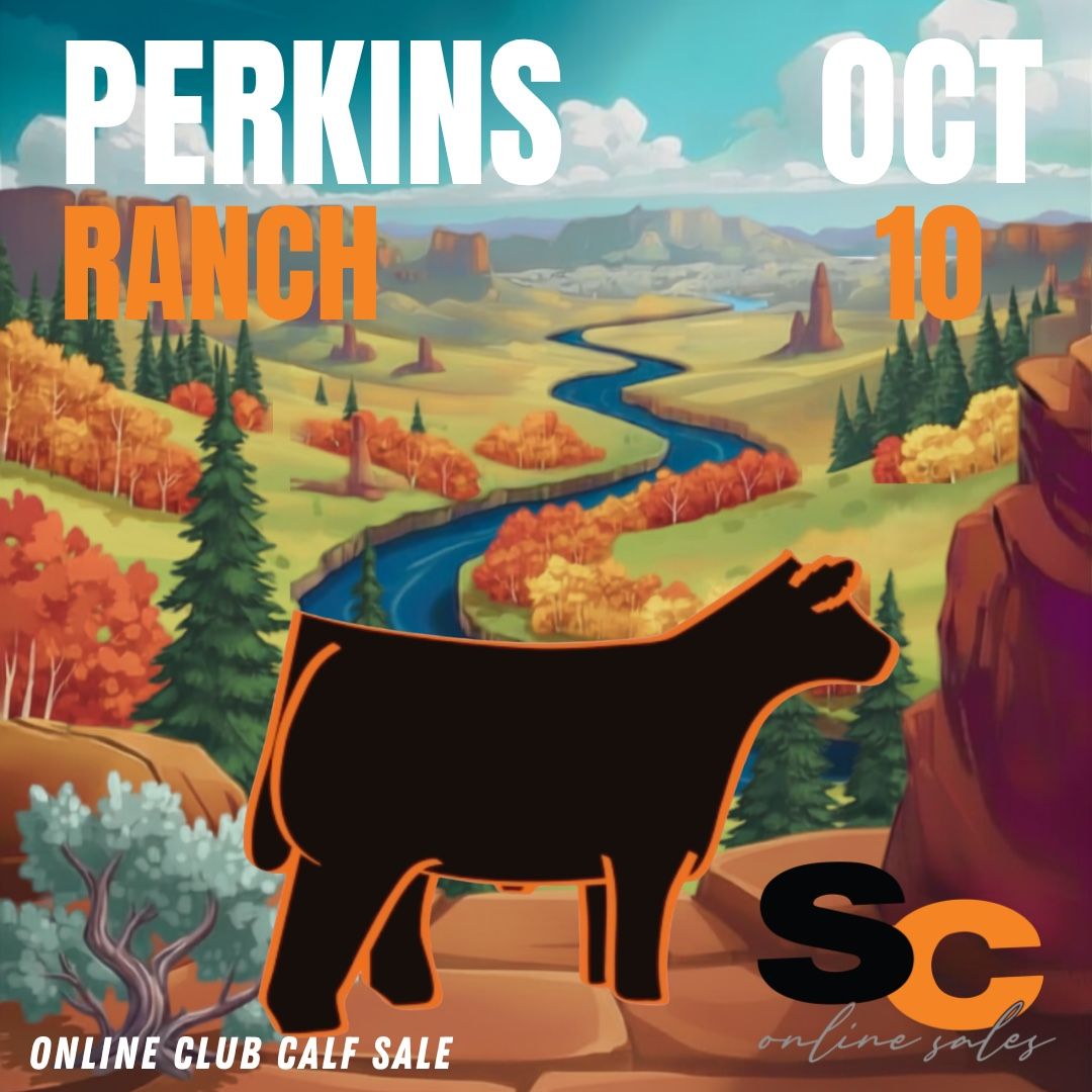 Perkins Ranch Online Club Calf Sale - October 10th (SC Online Sales)