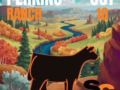 Perkins Ranch Online Club Calf Sale - October 10th (SC Online Sales)