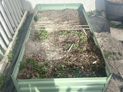 Raised garden Bed