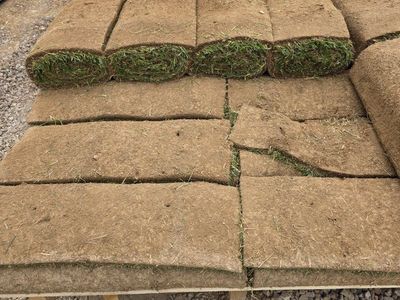 Fresh Cut Sod - Premium Lawn Grass Rolls for Landscaping Projects - Approx. 150 sf