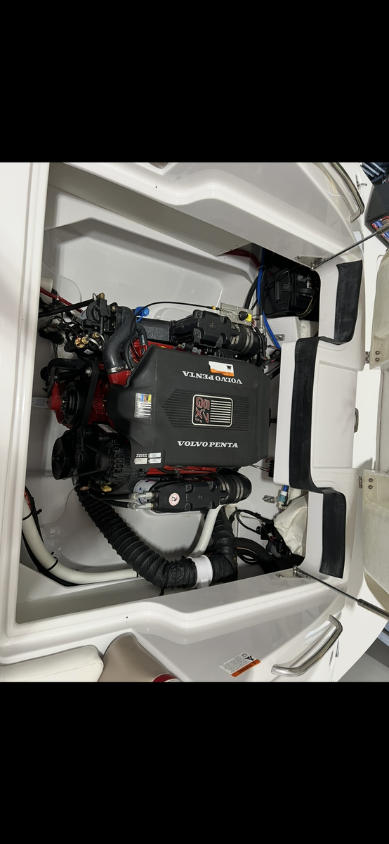 Main image 5