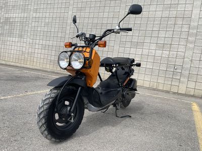 Moped - Honda Ruckus