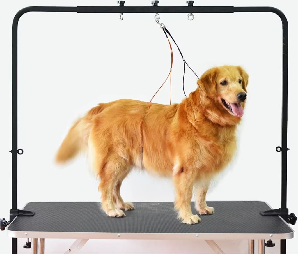 Overhead Dog Grooming Arm with Clamps