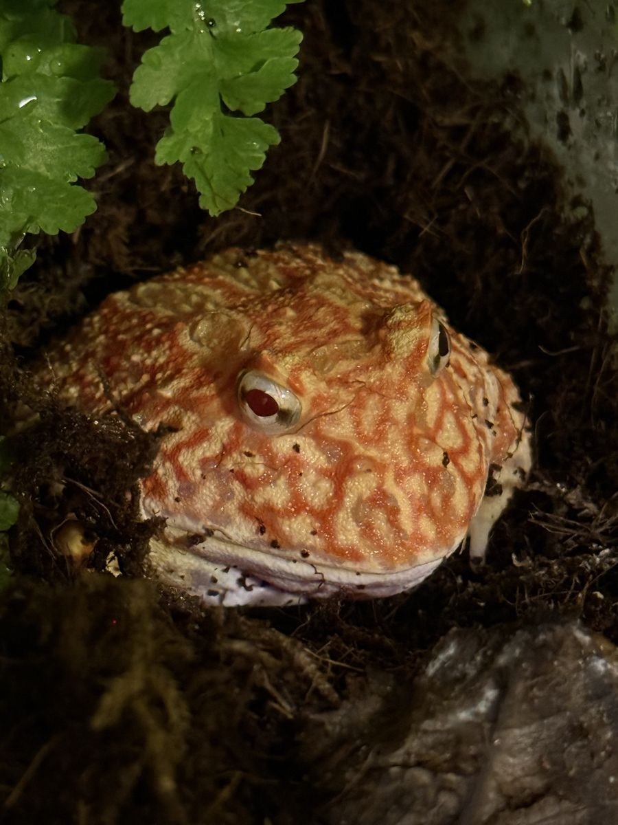 Main image 2