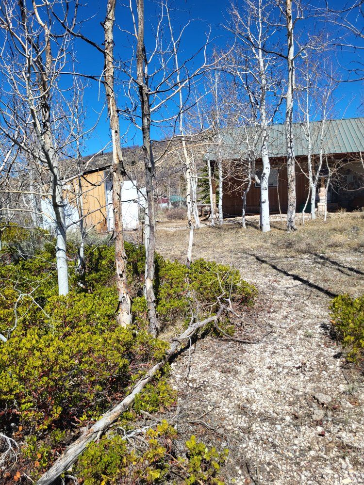 Main image 5
