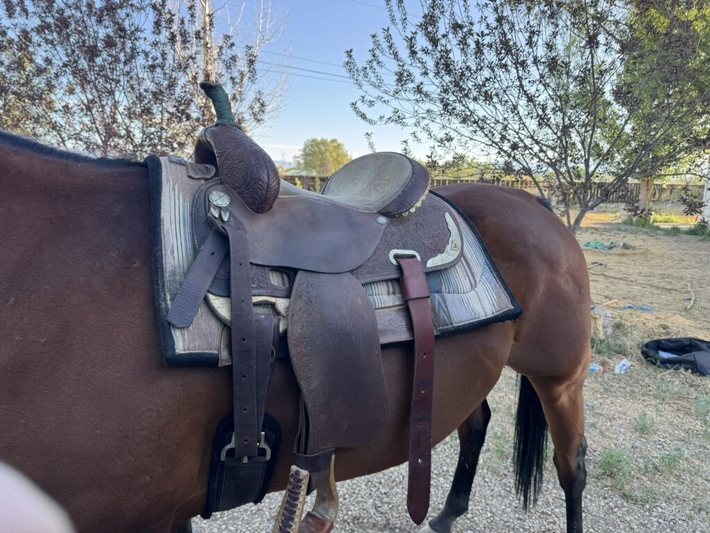 15 Martha Josey will Trade For Horse Hay