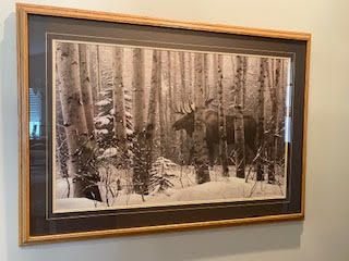 Large framed Moose picture