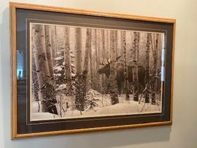Large framed Moose picture
