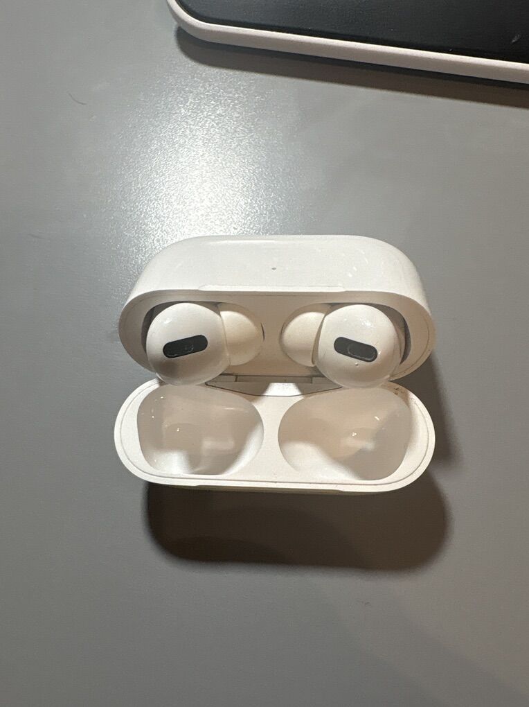 Apple IPods 1 with The Case