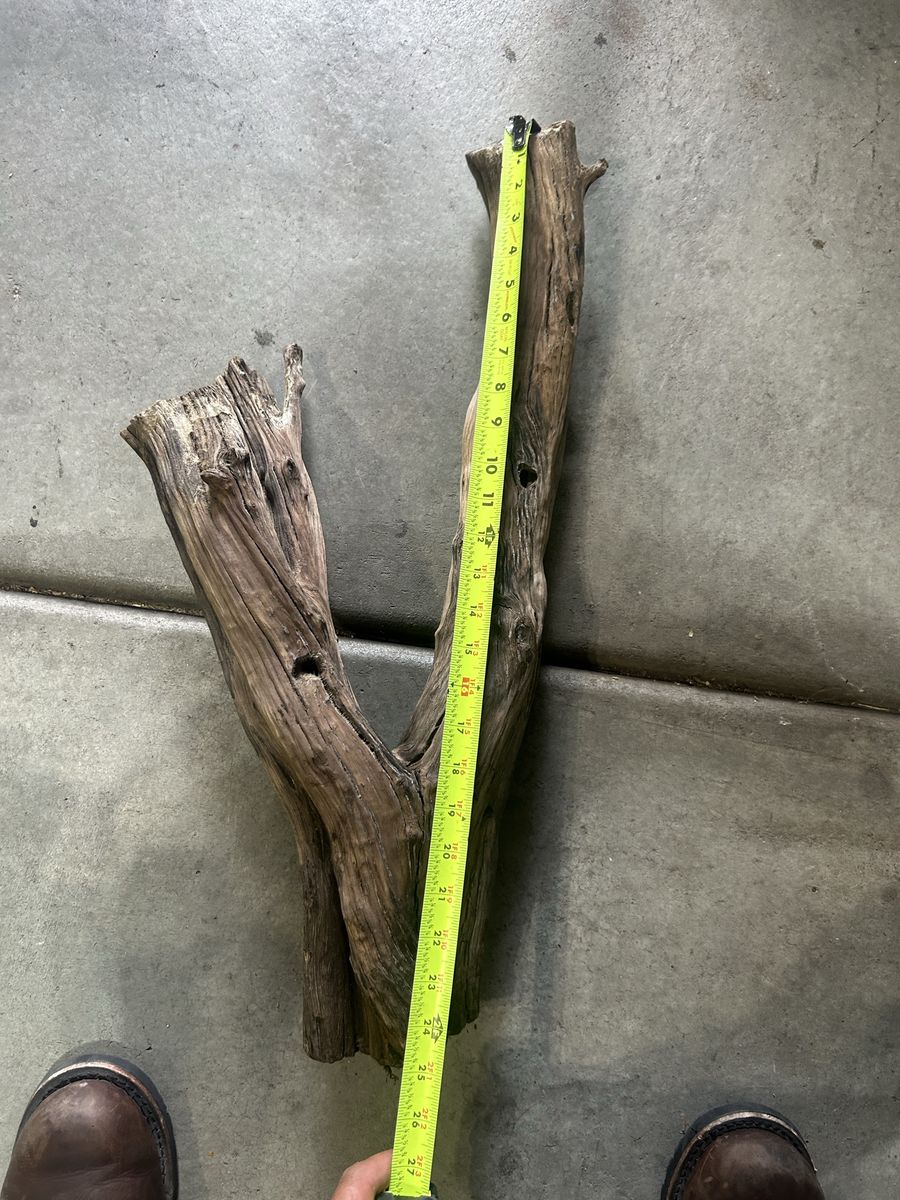 Reptile wood