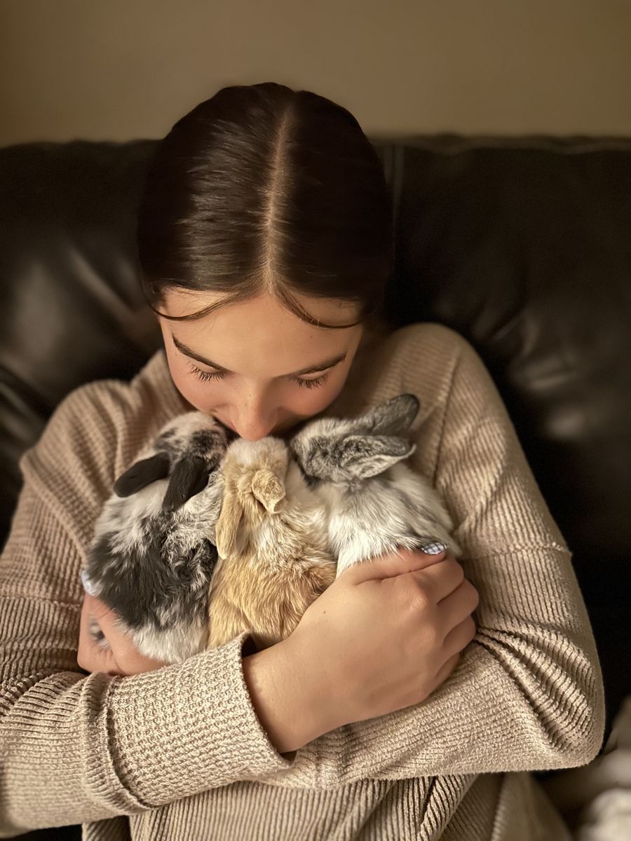 Real Baby Bunny / Rabbit PROM Posal Ask or Answer