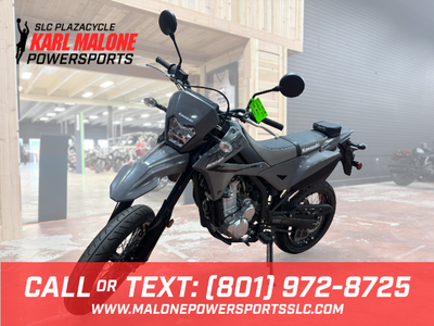 2025 Kawasaki KLX 300SM Battle Gray - UW41767-NF-W