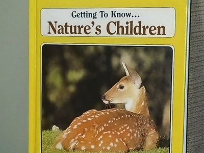 Getting To Know Nature's Children: Deer by Laima Dingwall, Educational Kids Book