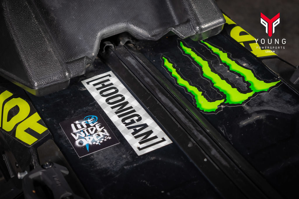 2018 Ski-Doo Freeride® Electric PowderMax Light 2.5 FlexEdge Rotax® 850 E-TEC® REV Gen4